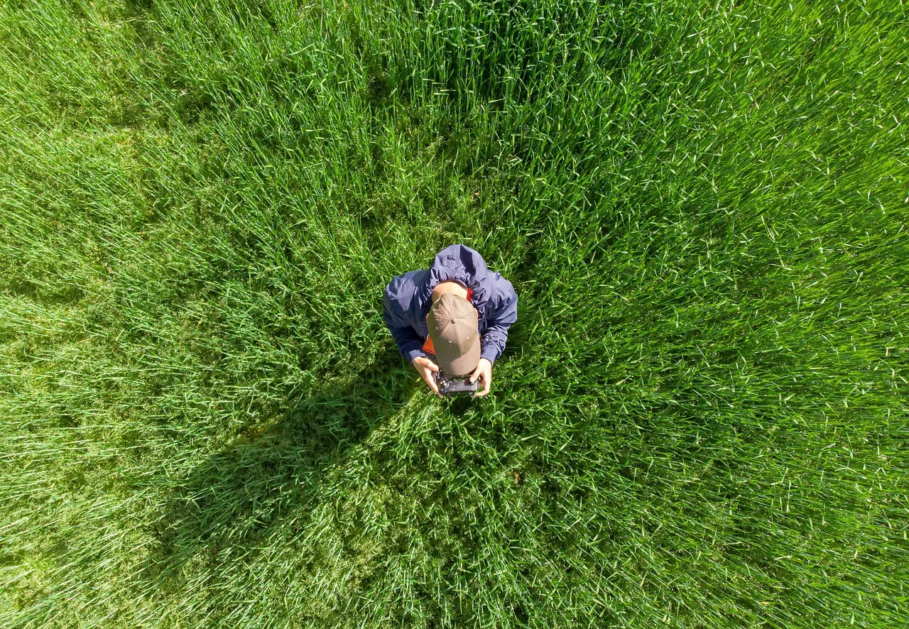drone operator, drone pilot, field, aerial view, quadrocopter, technology, drone operator, drone operator, drone pilot, drone pilot, drone pilot, drone pilot, drone pilot. How to Price Drone Videography for Weddings and Real Estate in Canada