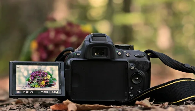 slr camera, bunch of flowers, forest, recording, representation, camera, photo, photography, taking photos, photo camera, digital camera, digital, slr, technology, nikon, equipment, sr-camera, dslr, trees, bokeh, autumn bouquet, fall, display, nature, camera, camera, camera, camera, camera, photo camera, digital camera, digital camera, digital camera, digital camera, nikon, nikon, dslr, dslr, dslr. Videography Shoot Insurance and Permit Costs Texas